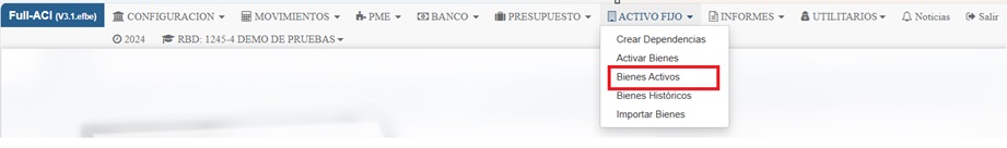 Pantalla Bienes Activos 1